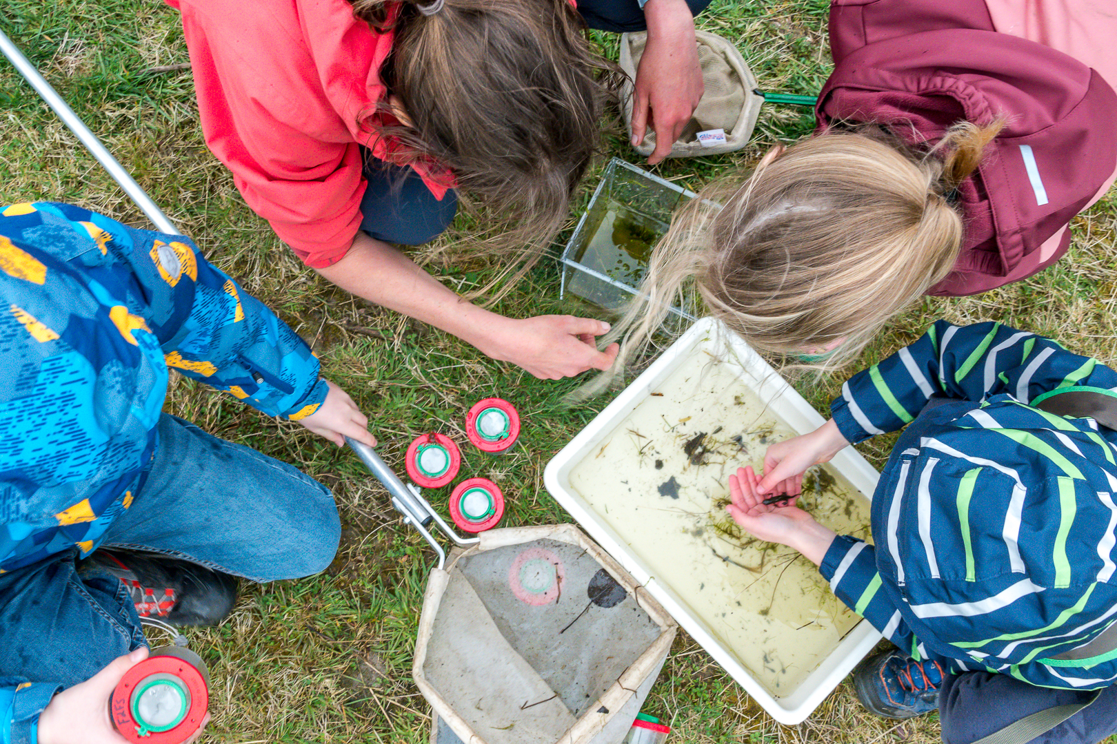 vloethemveld – gidsbeurten - educatief