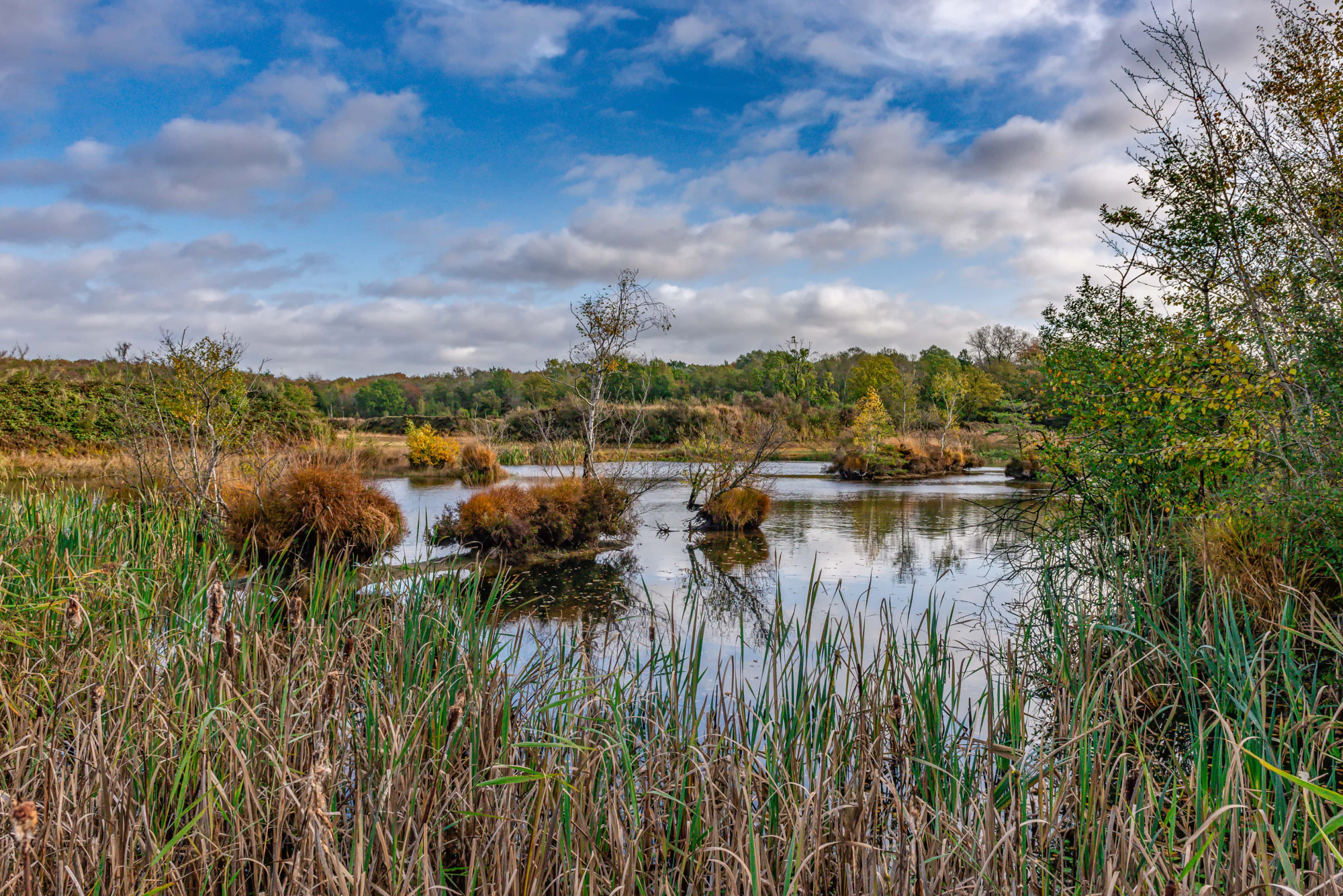 Vloethemveld - natuurbeleving