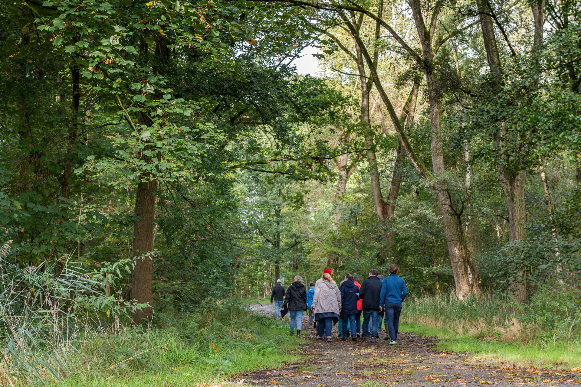 Vloethemveld -  Wandeling - lente