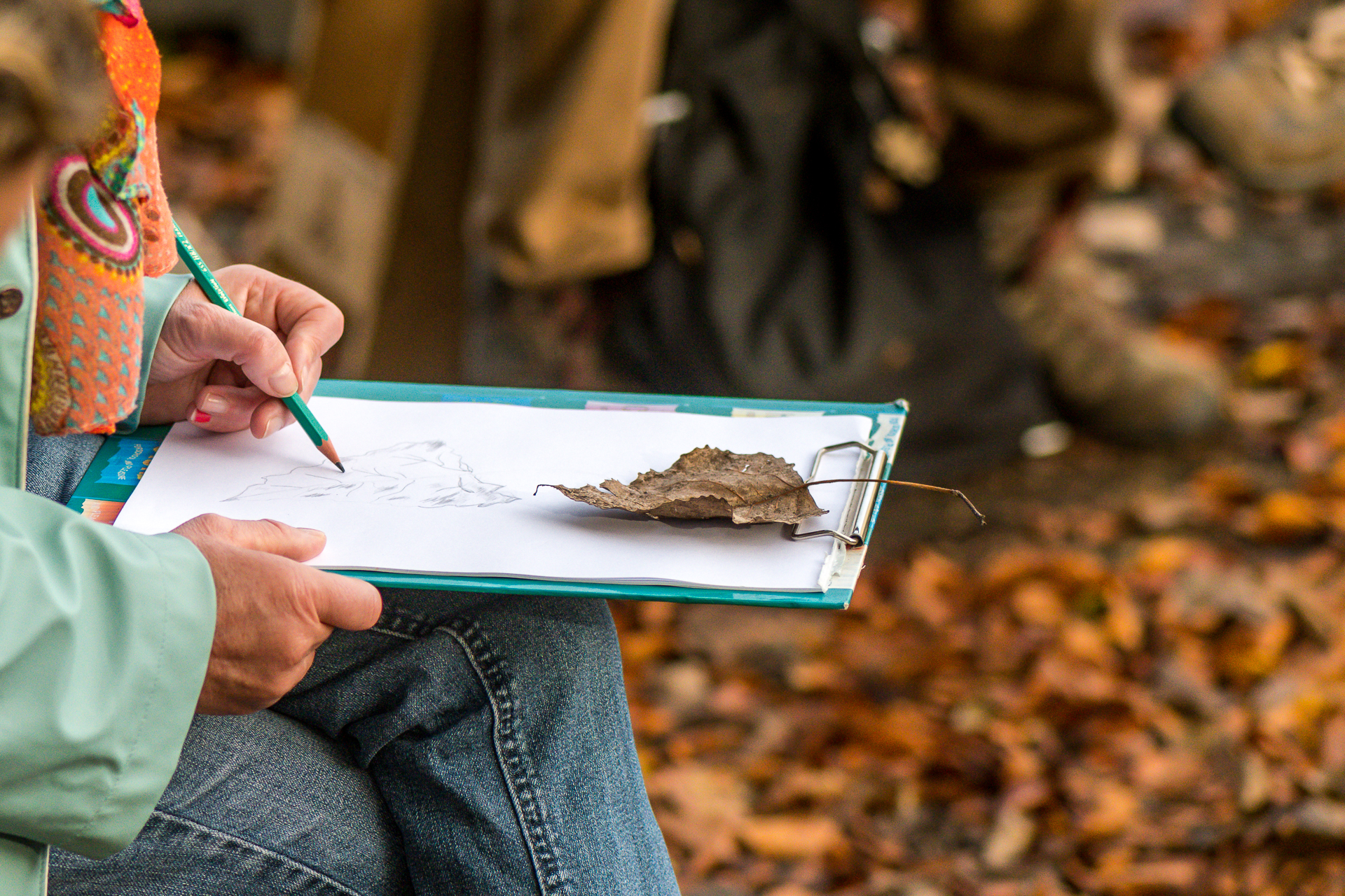 Vloethemveld - Workshop natuurtekenen
