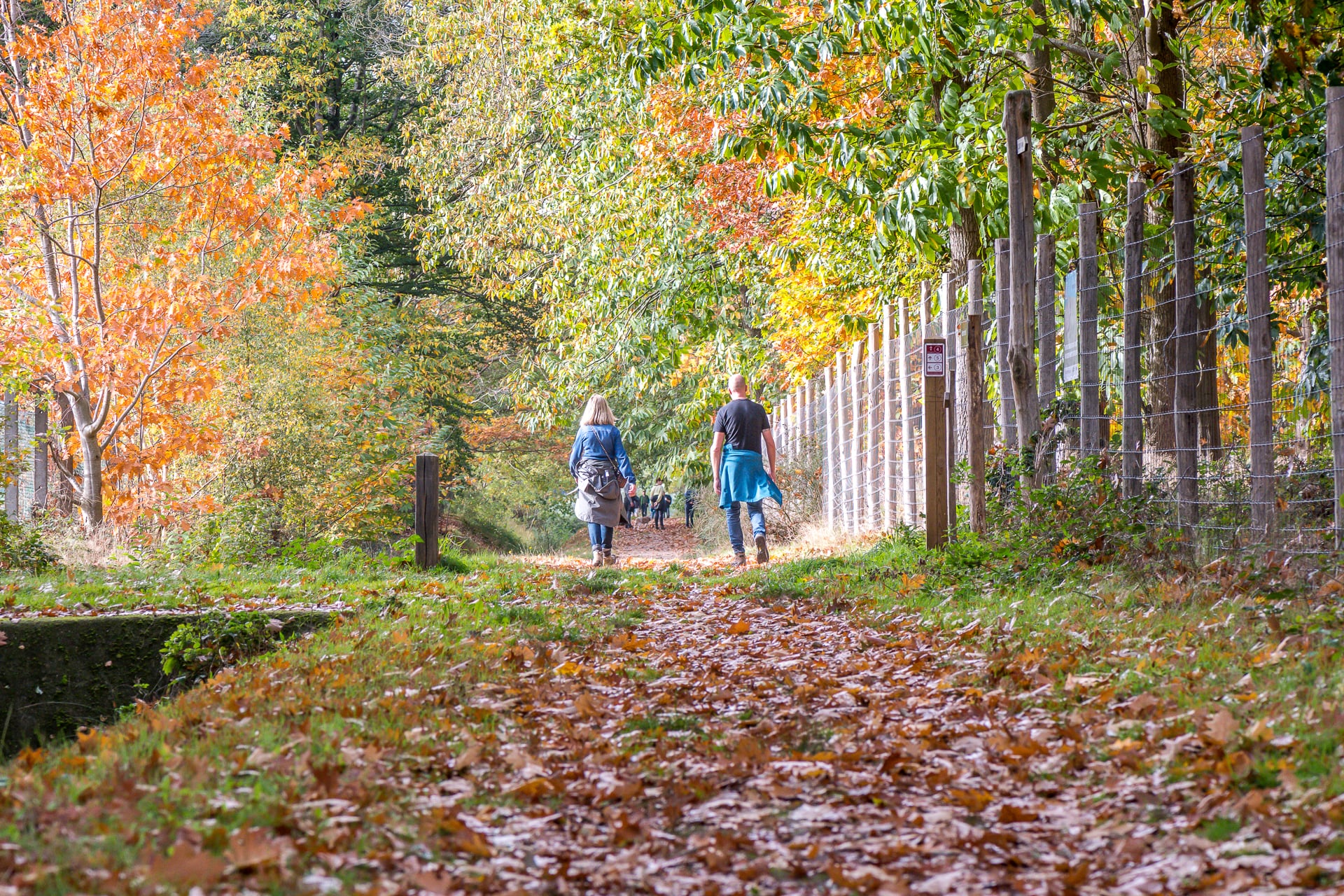 Rondje Vloethemveld in de herfst