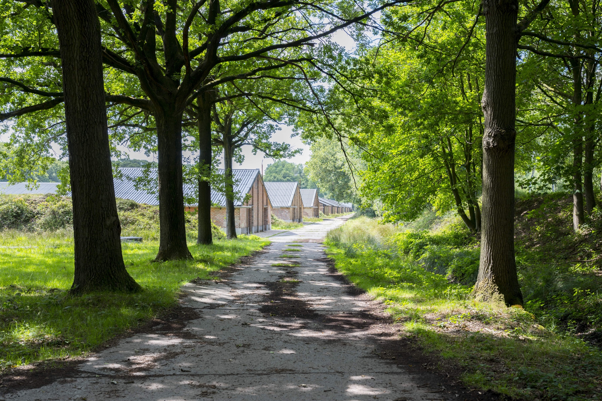 Vloethemveld - Pakken Erfgoed