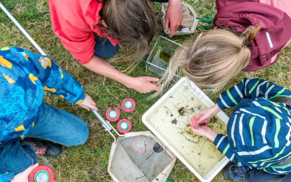 vloethemveld – gidsbeurten - educatief