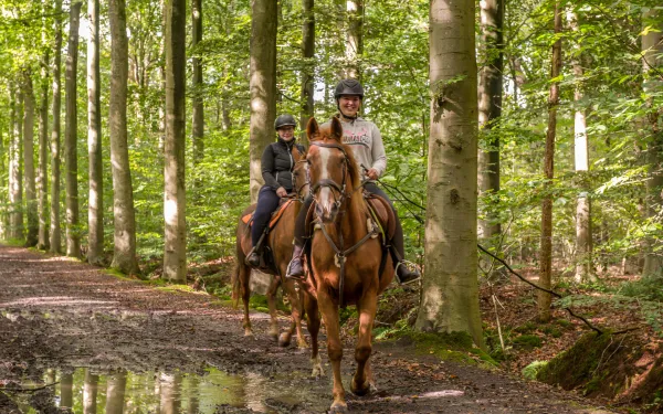 vloethemveld – routes - paardrijden
