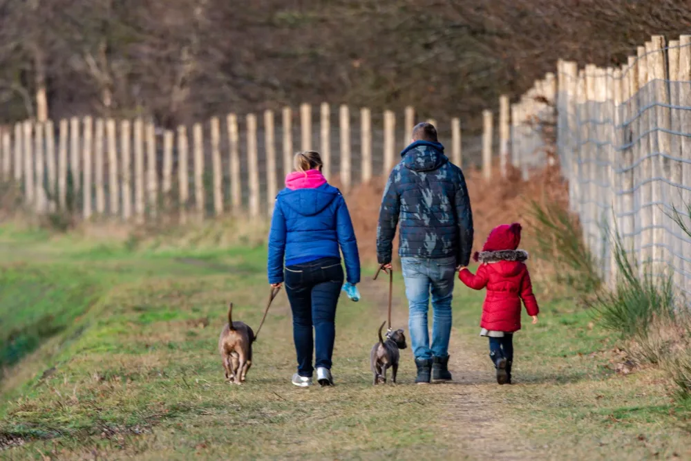vloethemveld – honden vloethemveld – honden